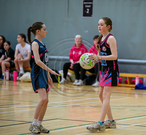 Netball Ambasador Head Shots