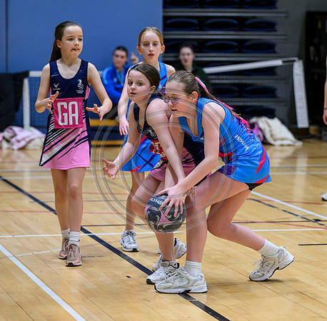 Netball Ambasador Head Shots