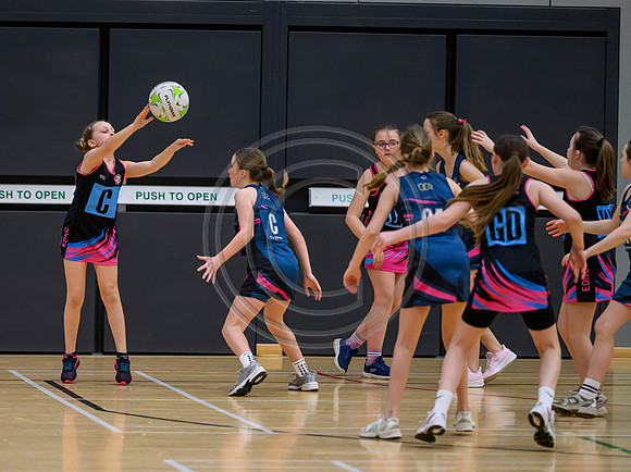 Netball Ambasador Head Shots