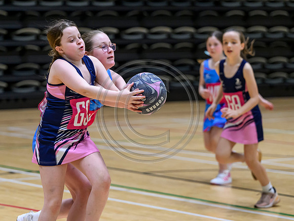 Netball Ambasador Head Shots