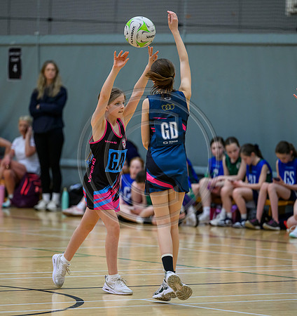 Netball Ambasador Head Shots