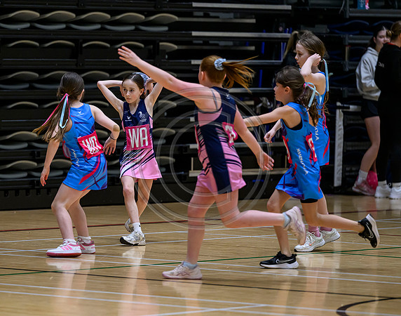 Netball Ambasador Head Shots