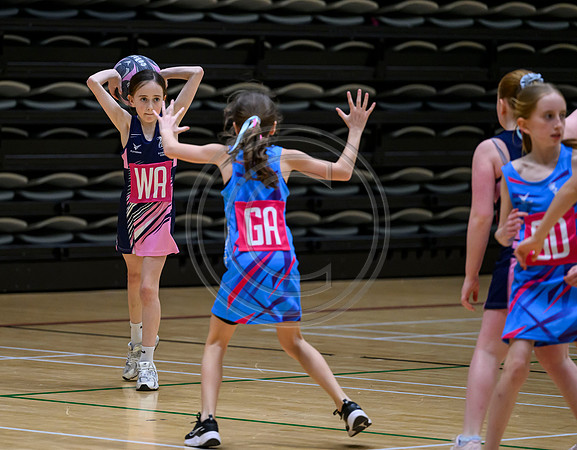 Netball Ambasador Head Shots
