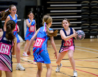 Netball Ambasador Head Shots