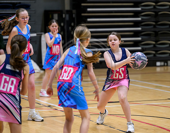 Netball Ambasador Head Shots