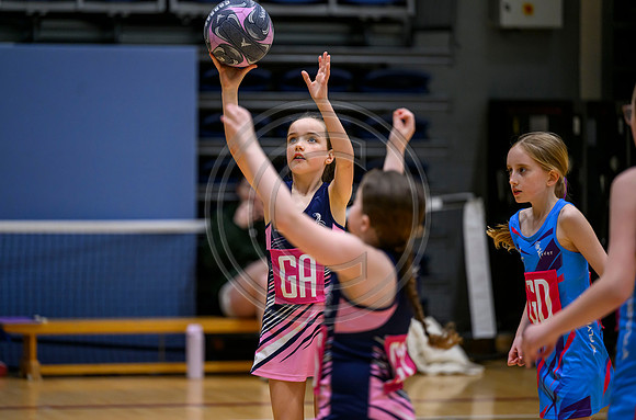 Netball Ambasador Head Shots