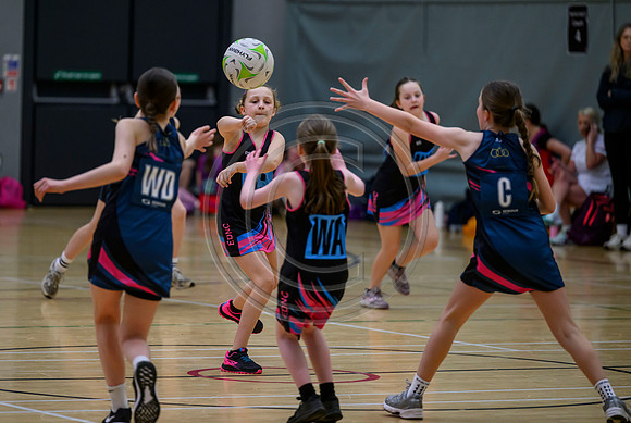 Netball Ambasador Head Shots