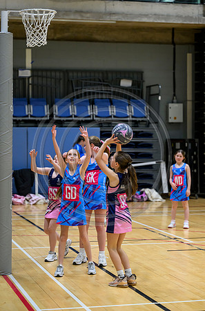 Netball Ambasador Head Shots