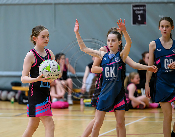 Netball Ambasador Head Shots