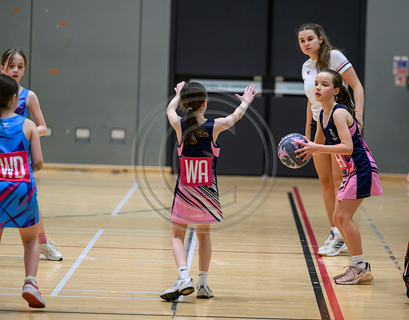 Netball Ambasador Head Shots