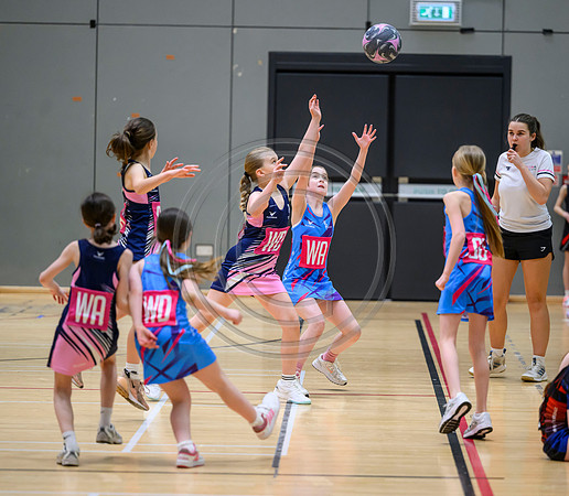 Netball Ambasador Head Shots