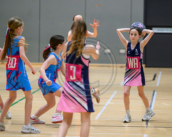Netball Ambasador Head Shots
