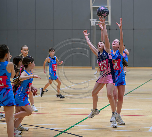Netball Ambasador Head Shots