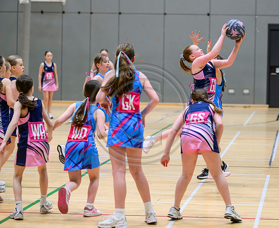 Netball Ambasador Head Shots