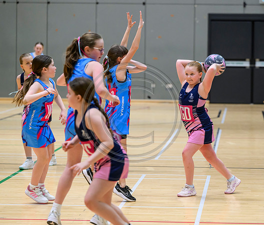 Netball Ambasador Head Shots