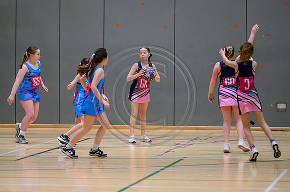 Netball Ambasador Head Shots