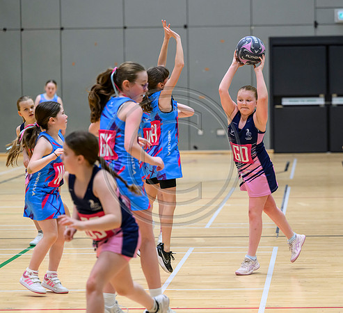 Netball Ambasador Head Shots