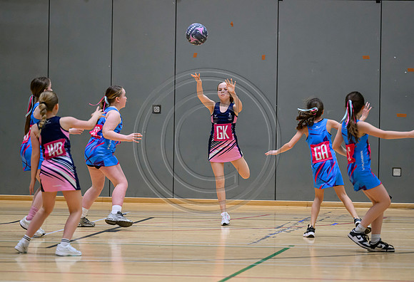 Netball Ambasador Head Shots