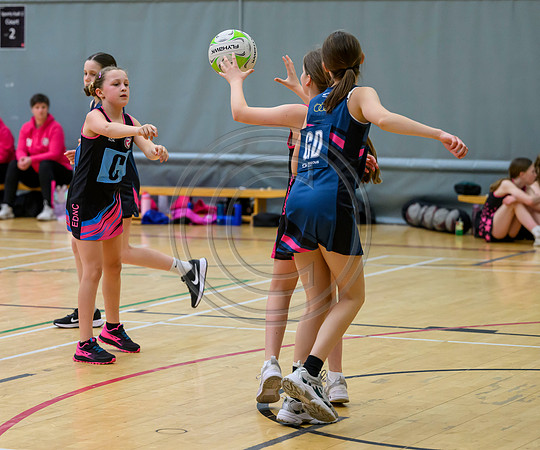 Netball Ambasador Head Shots