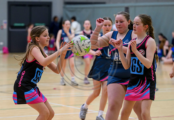 Netball Ambasador Head Shots