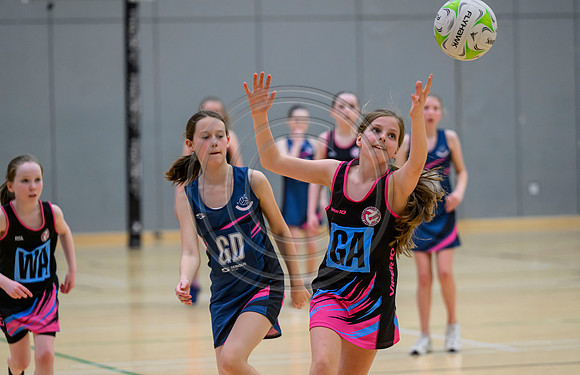 Netball Ambasador Head Shots