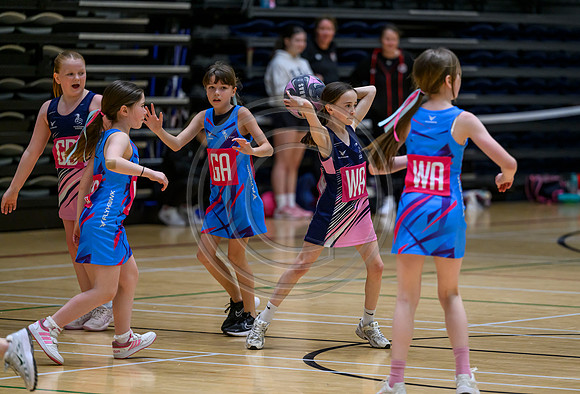 Netball Ambasador Head Shots