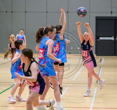 Netball Ambasador Head Shots