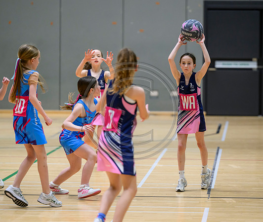 Netball Ambasador Head Shots