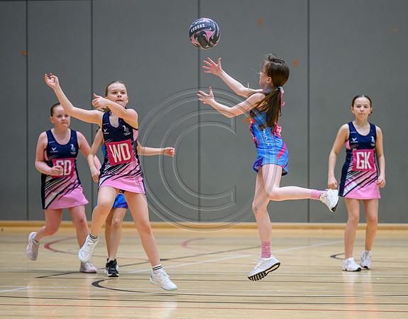 Netball Ambasador Head Shots