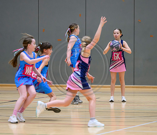 Netball Ambasador Head Shots