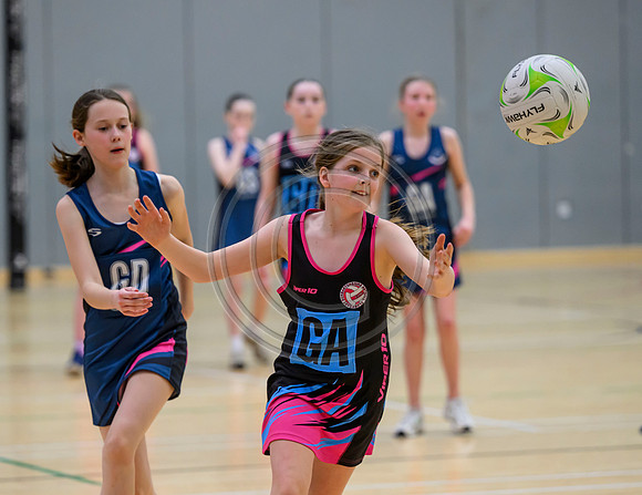 Netball Ambasador Head Shots