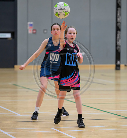 Netball Ambasador Head Shots