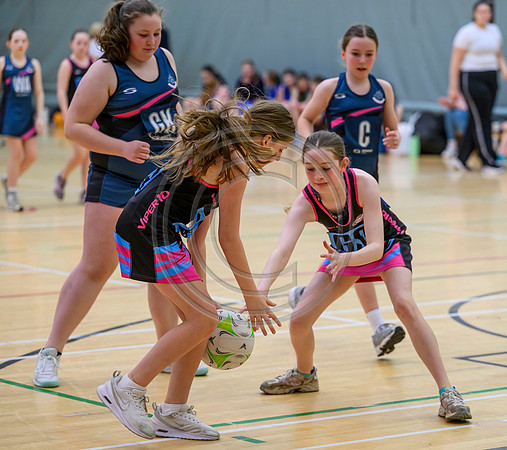 Netball Ambasador Head Shots