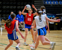 S1 Plate Final
