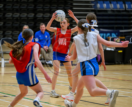 S1 Plate Final