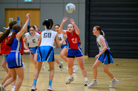 S1 Plate Final