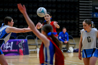 S1 Plate Final