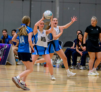 S2 Plate Final