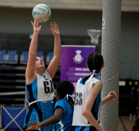S2 Plate Final