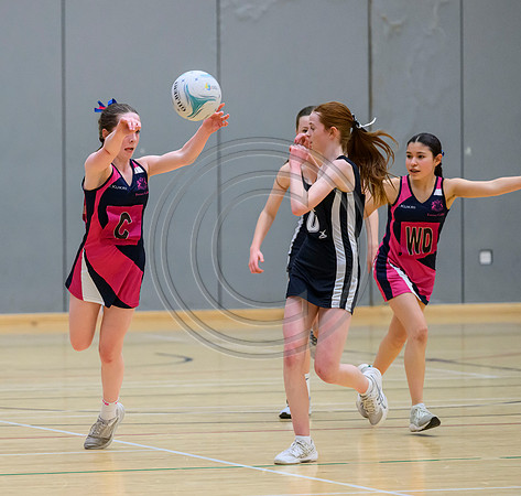 S2 Cup Final