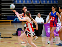 S3 Plate Final