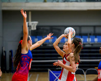 S3 Plate Final