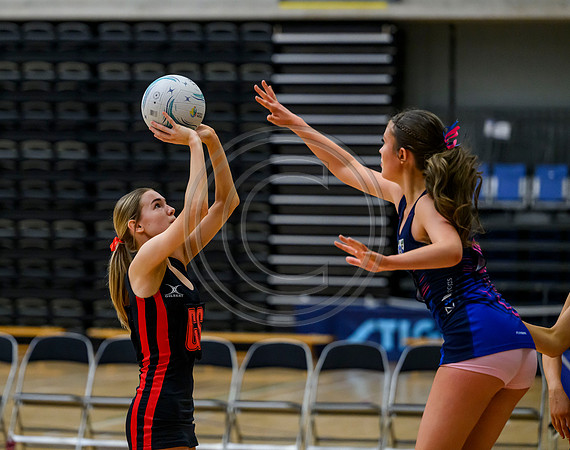 Open Plate Final