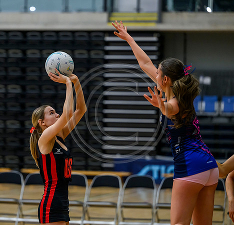 Open Plate Final