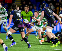 Warriors v Benetton
