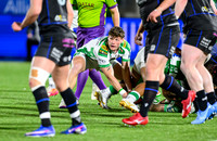Warriors v Benetton