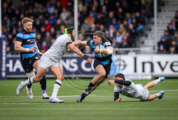 Warriors v Toulon