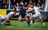 Warriors v Toulon