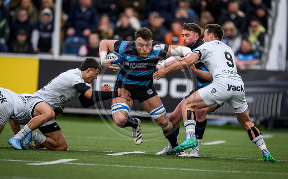 Warriors v Toulon