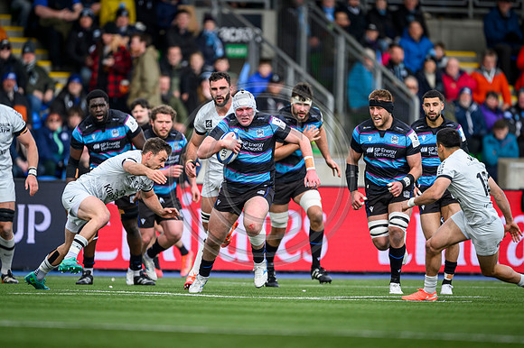 Warriors v Toulon